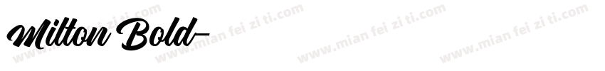 Milton Bold字体转换